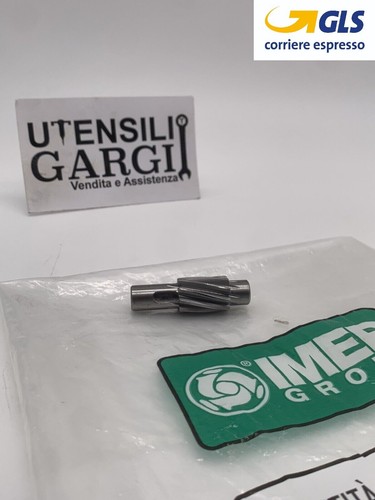 Pignone per ingranaggio z81 - ingranaggio,